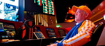 Официальный сайт Casino Dragon Money